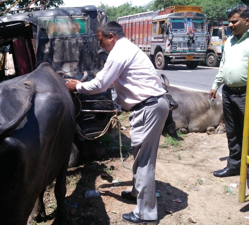 Battery-laden car going to Katti