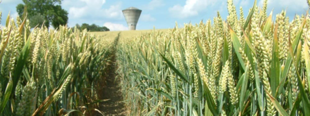 fields will give good results by using scientific method