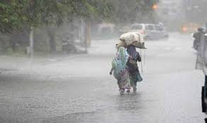 heavy rainfall in many district of rajasthan