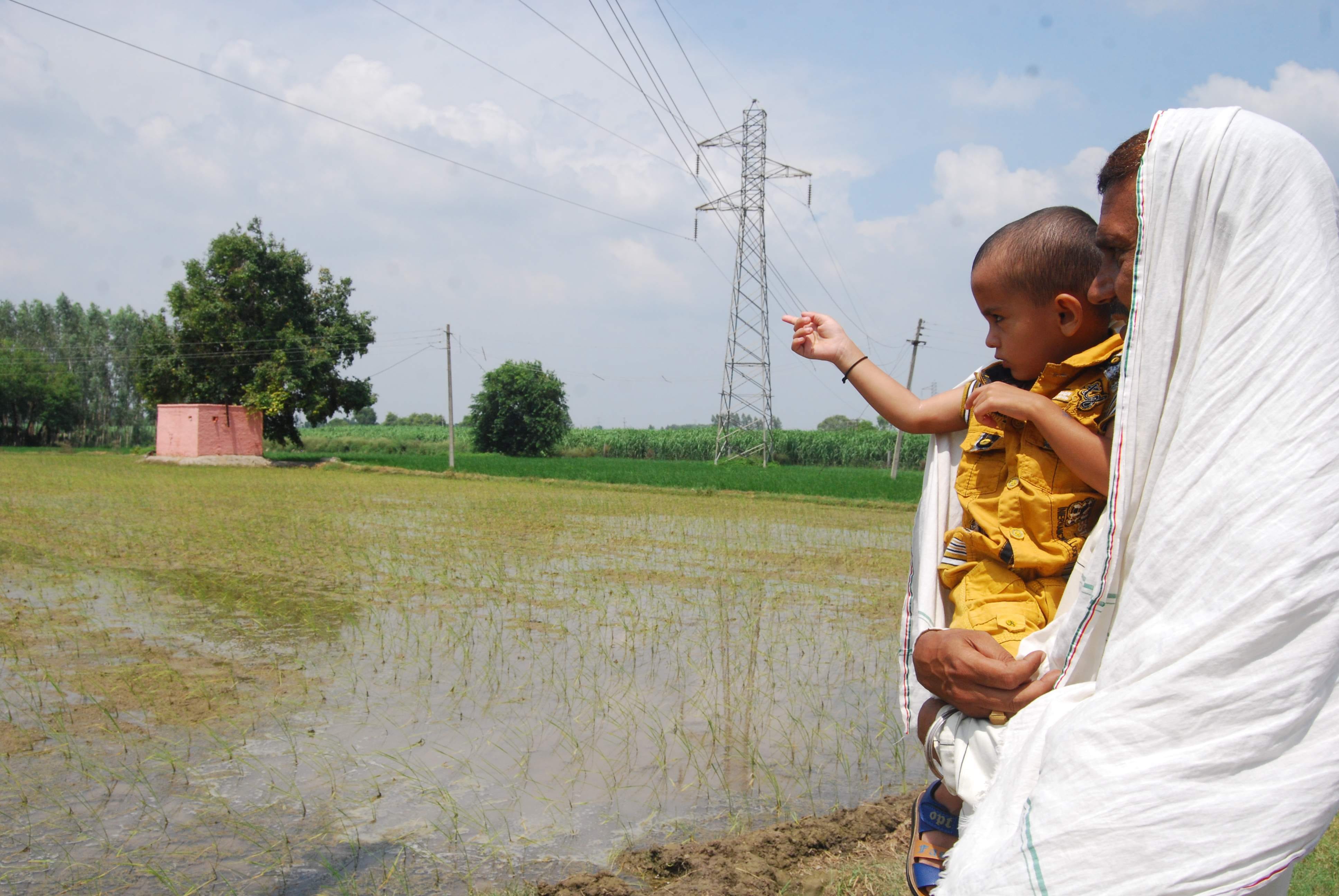mystery of jind boy lavish rebirth story