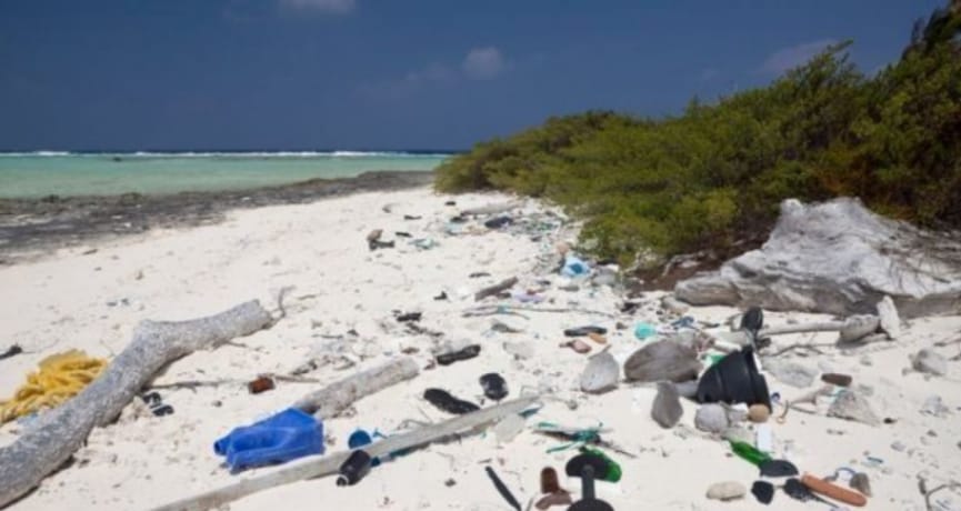  Increasing amount of plastic waste in the sea is endangered