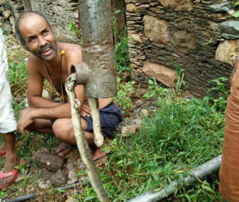 snake found in pipe line in rudraprayag