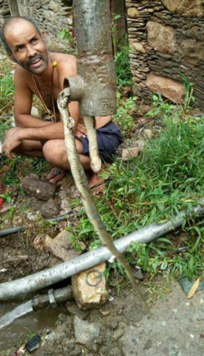 snake found in pipe line in rudraprayag