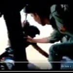 Gujrat flood: Air force MI-17V5 helicopter winches a person