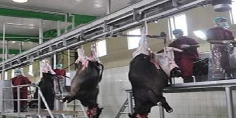 meat factory are sealed again, court order was action