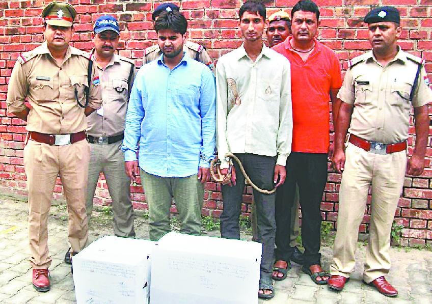 Two thousand injections and 24 hundred drug pills recovered