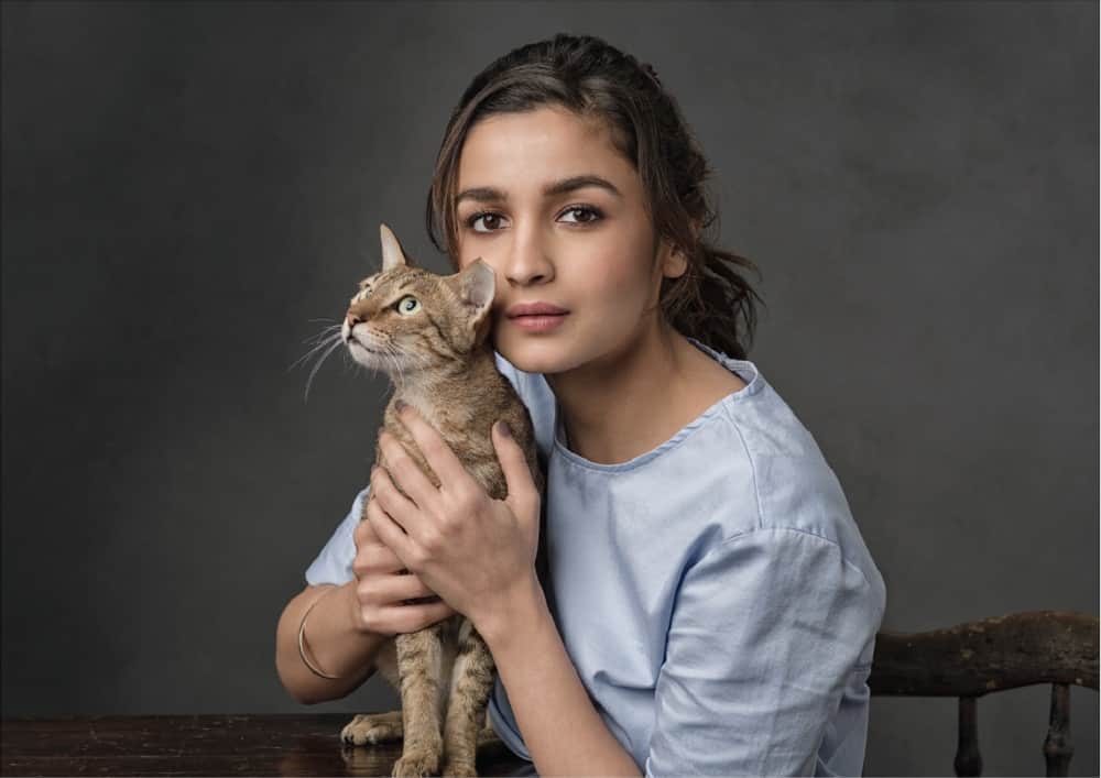 alia bhatt starrer raazi will release in 6 month
