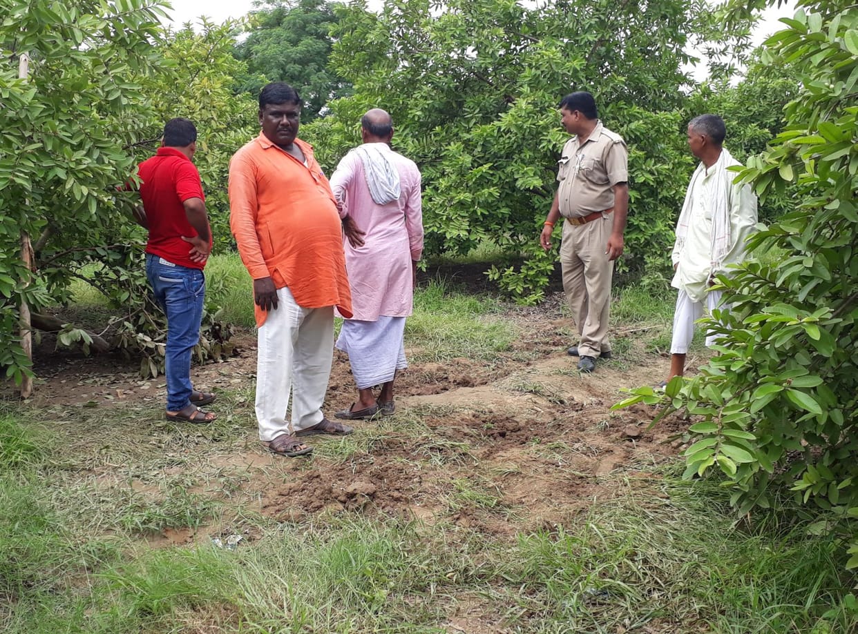 Slaughtering in Farm