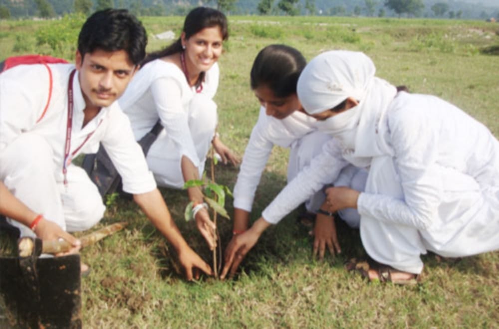 divya sewa mission did plantation after ramnath kovind become president