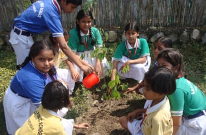 divya sewa mission did plantation after ramnath kovind become president