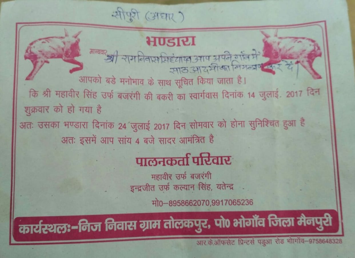 man gave feast after death of goat in mainpuri