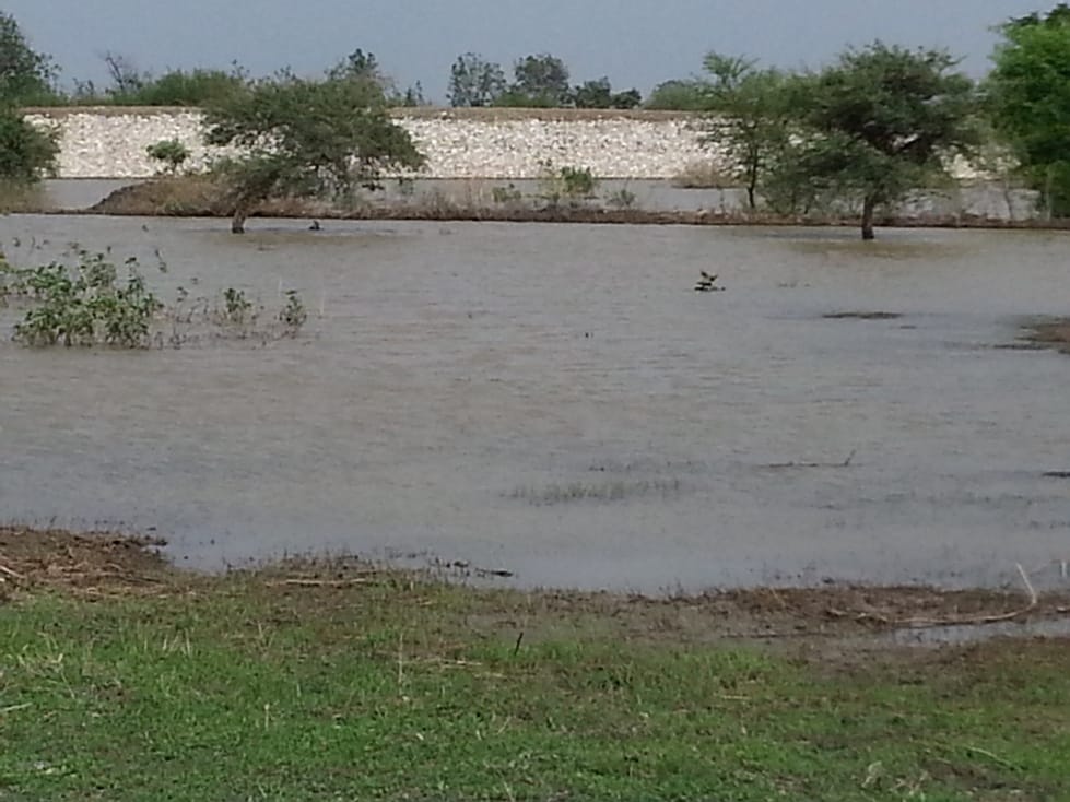 Dead bodies of two brothers found in pond, Mother and sister missing