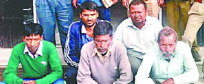  Five sent to jail for killing fish, fish stirred in the village