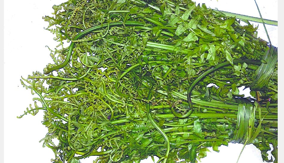 Linguja's vegetable became a livelihood
