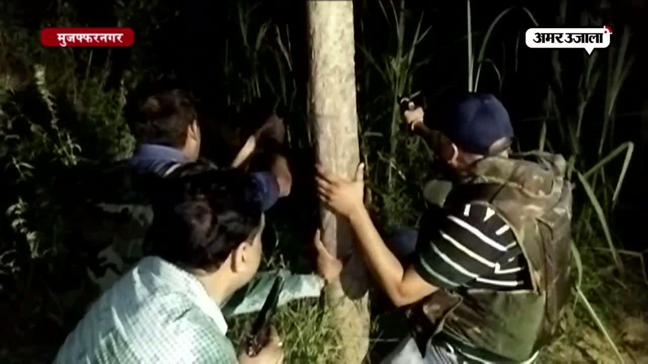 लाइव एनकाउंटर