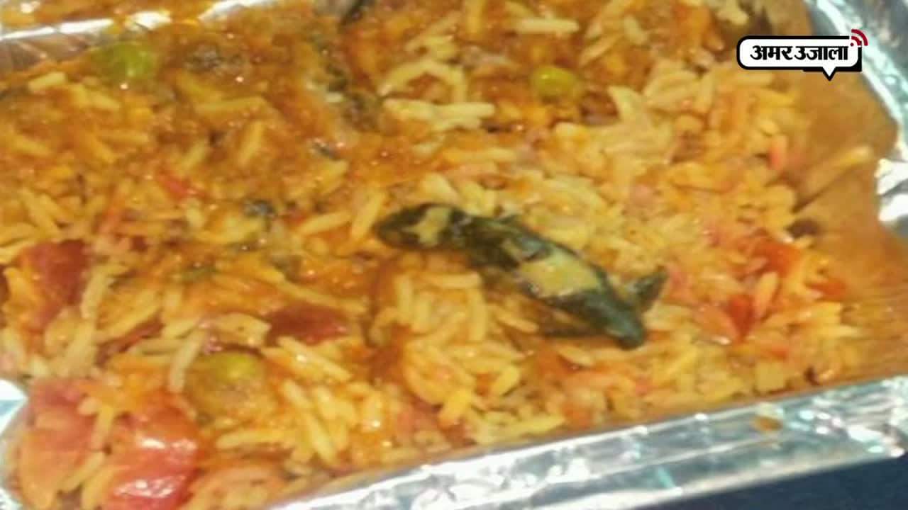 रेलवे के खाने में मिली छिपकली