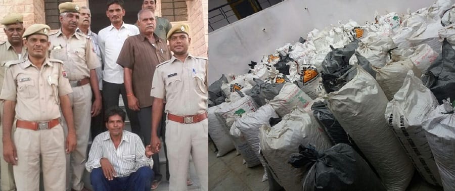 20 kwintal doda seized in jodhpur