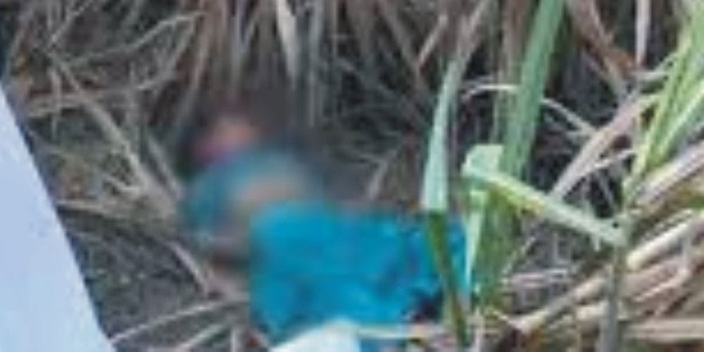 teen gang raped by two villagers she was on the way to her coaching center In UP