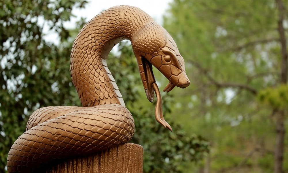  nag panchami 2017: how to snakes birth in our earth and history