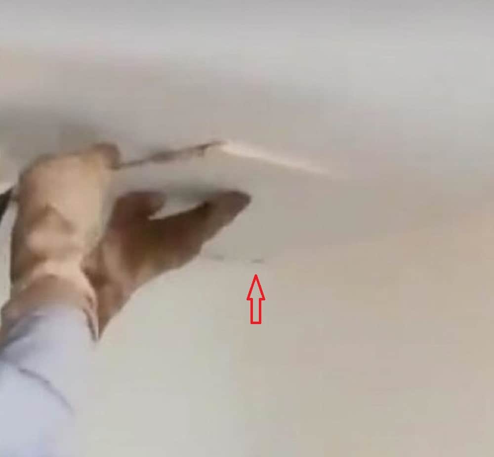 watch how girl found thousands of bees living inside the room ceiling