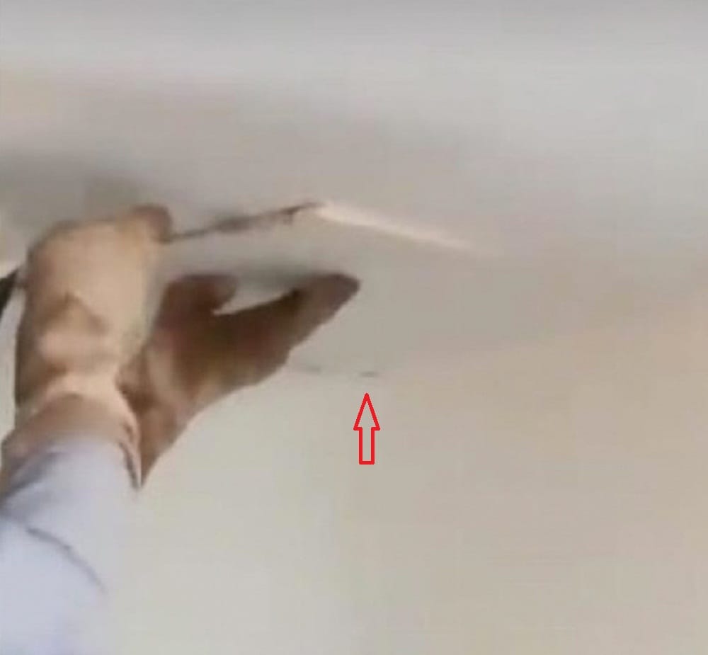 watch how girl found thousands of bees living inside the room ceiling