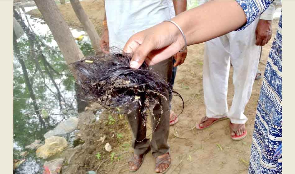 women's braids chopping terror, women's braids cut terror