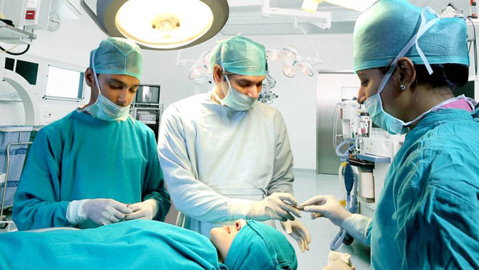 Brain dead woman donated to four persons