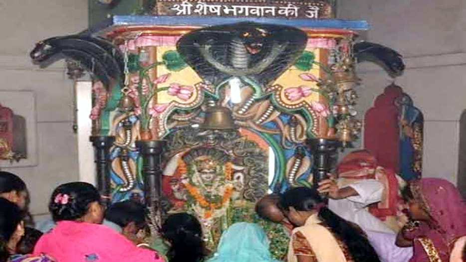Khereshwar Dham Temple of Snakes in Kanpur