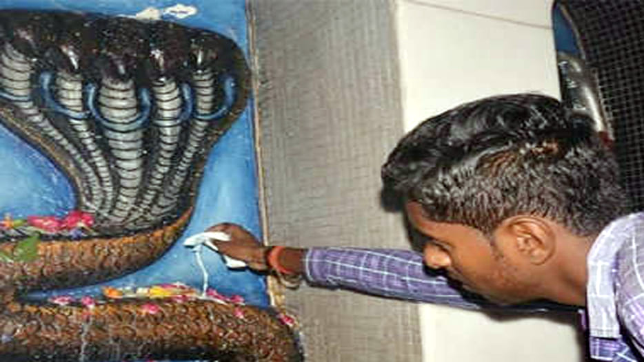 Khereshwar Dham Temple of Snakes in Kanpur