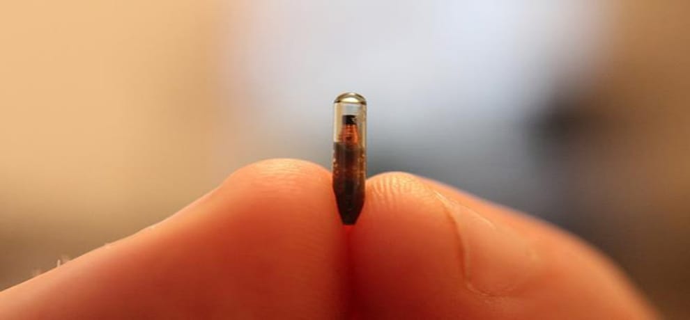 american company is planning to inject microchip in its employees body