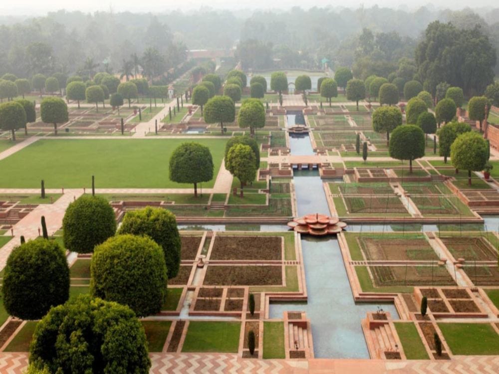 225 years old shisham tree revealing in president house delhi