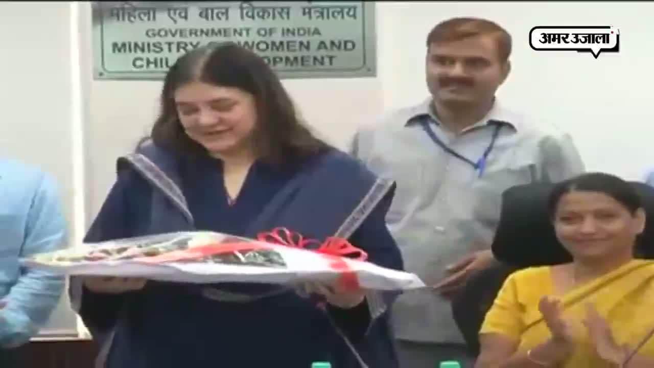 शी बॉक्स