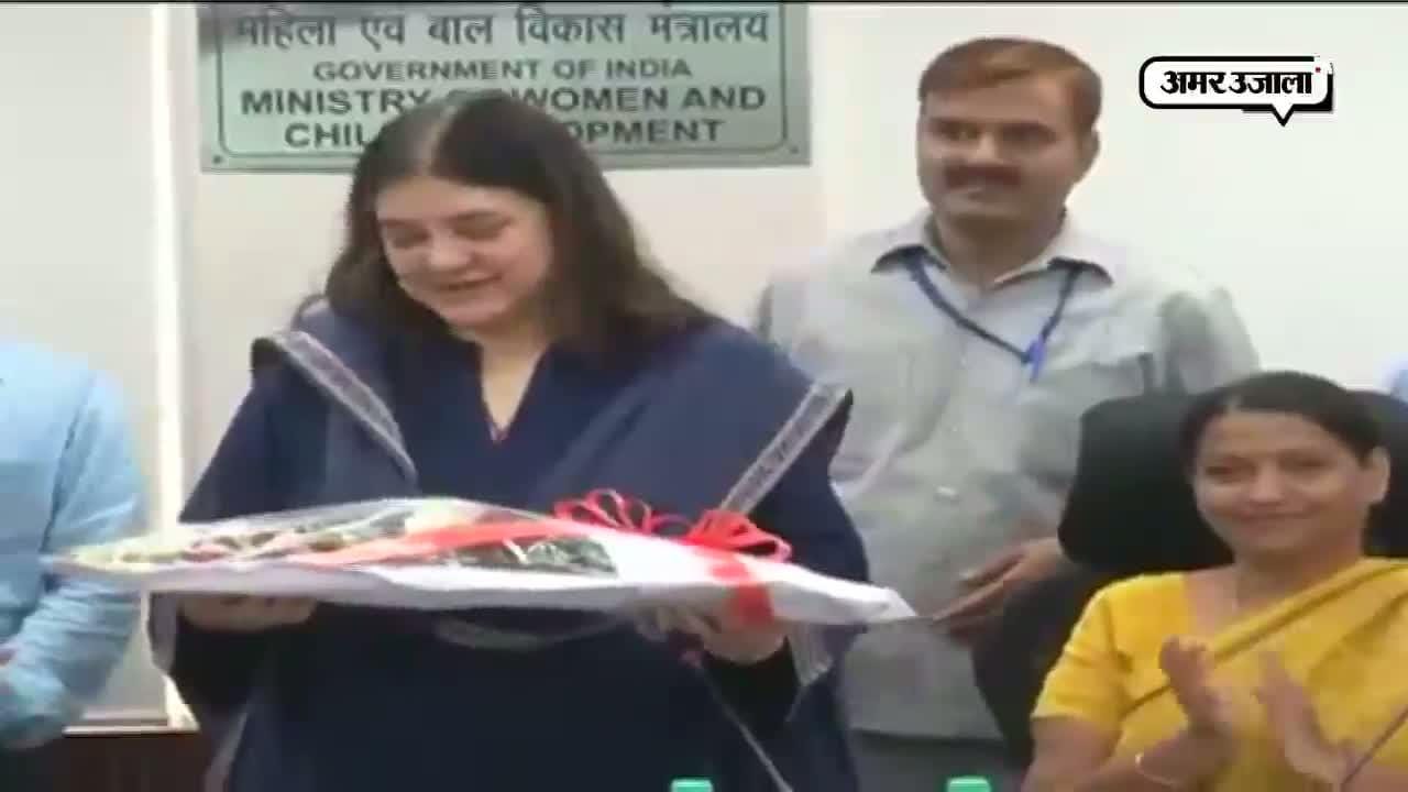शी बॉक्स