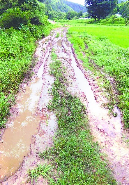 Sanadiadir-Rawtsera road condition crispy