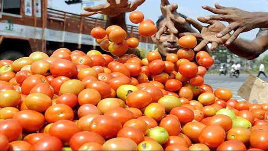 scarcity of Tomatoes in local city market