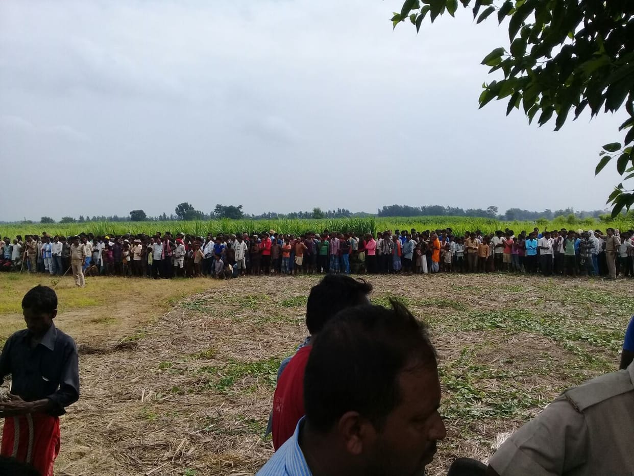 search operation for leopard