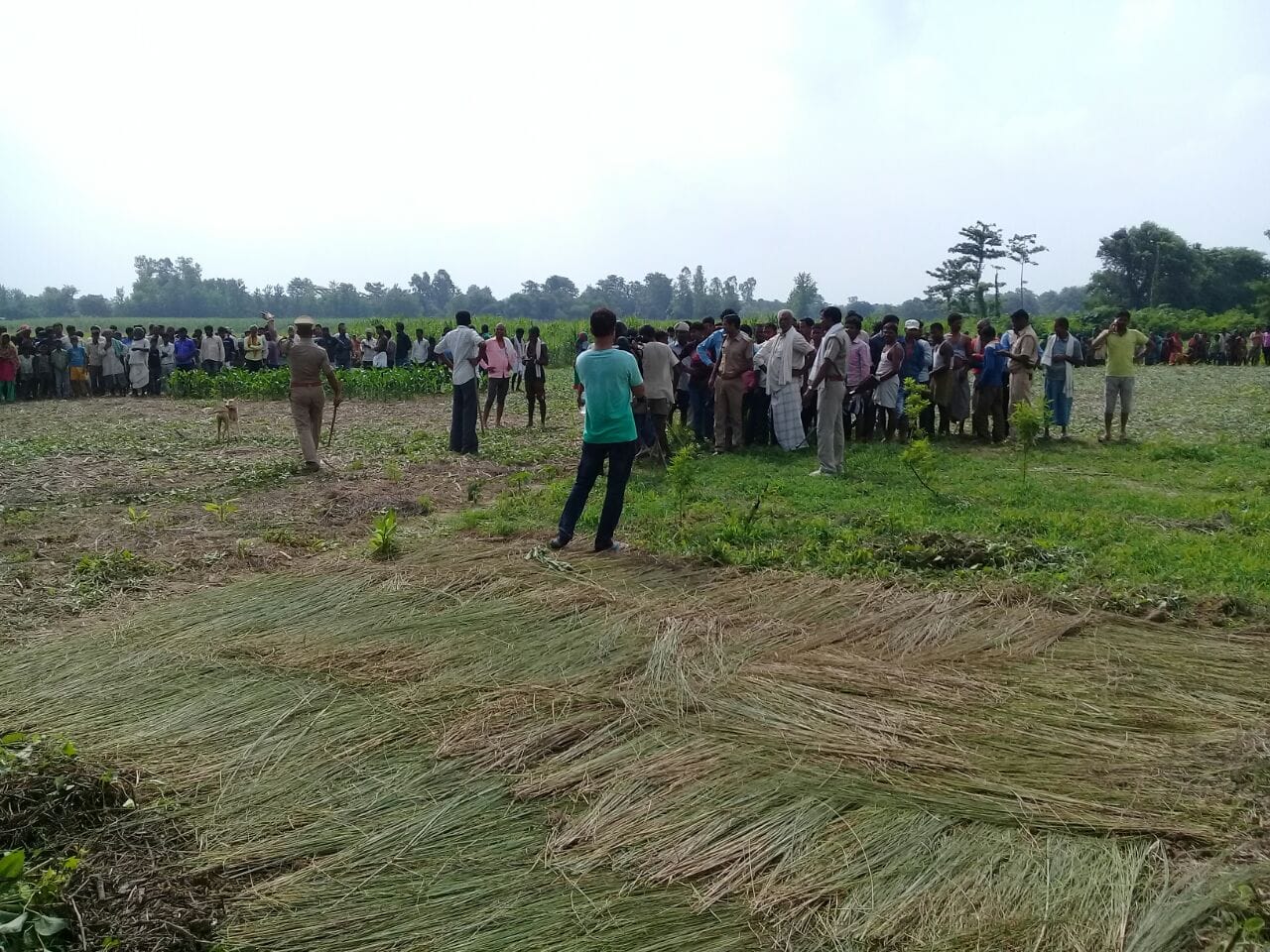 search operation for leopard