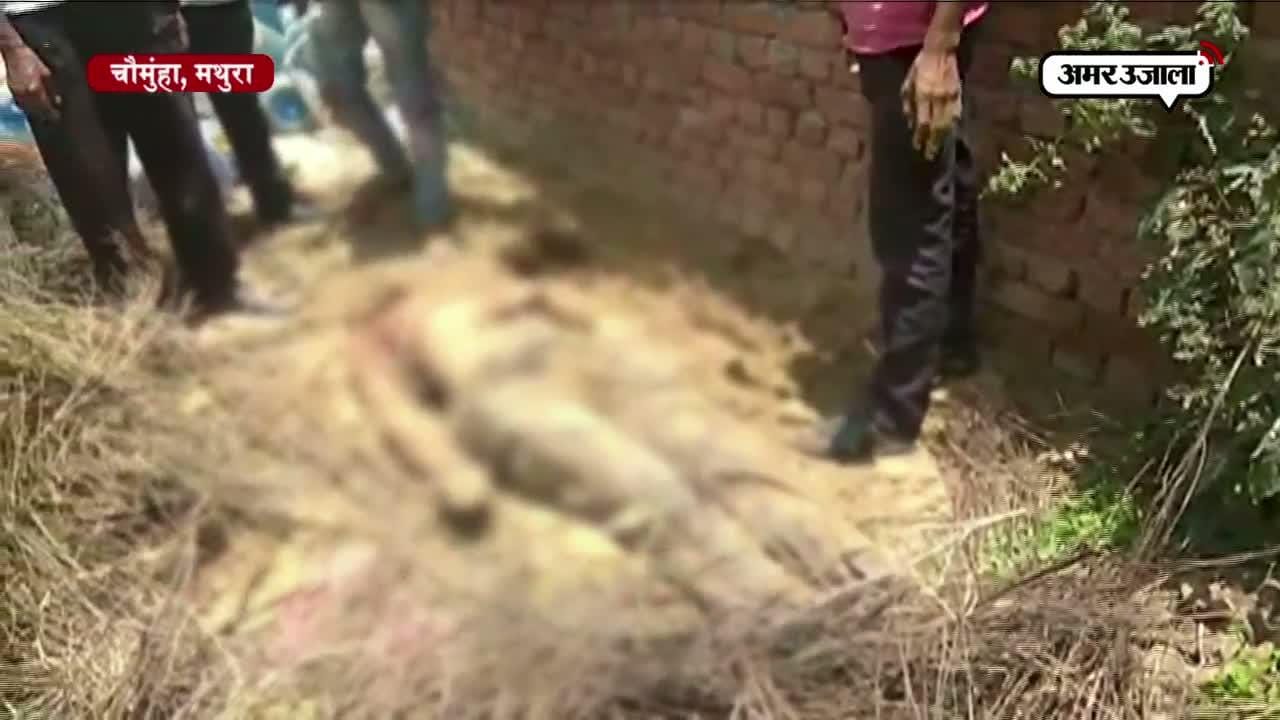 मथुरा, हत्या