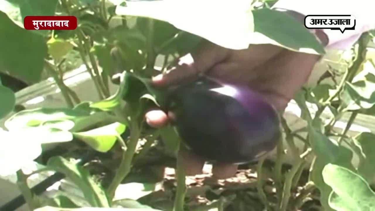 मुरादाबाद