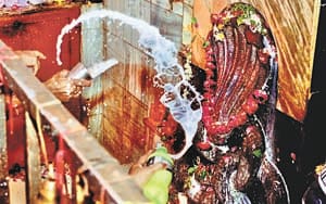 Snake god worshiped at home