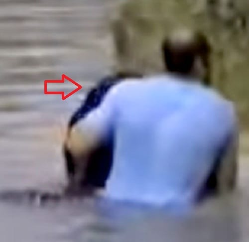 Watch how this man saved drowning chimpanzee life at   zoo
