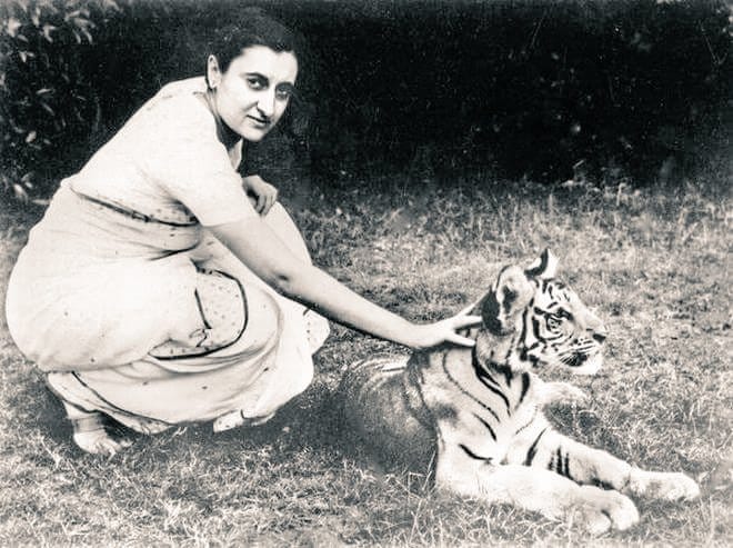 international tiger day: only 3890 tigers are left in a world