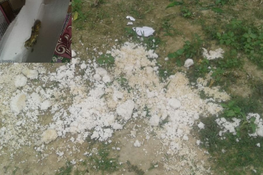 students fall ill after consuming poisonous mid day meal in faizabad.
