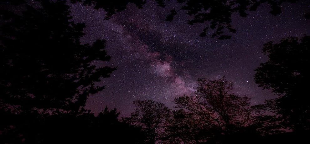 Adhik Maas Amavasya 2020 never do these 4 things in Adhik Maas Amavasya