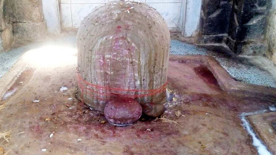 Special Secret of Shaleshwar Temple in Hamirpur 