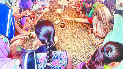 Special Secret of Shaleshwar Temple in Hamirpur 