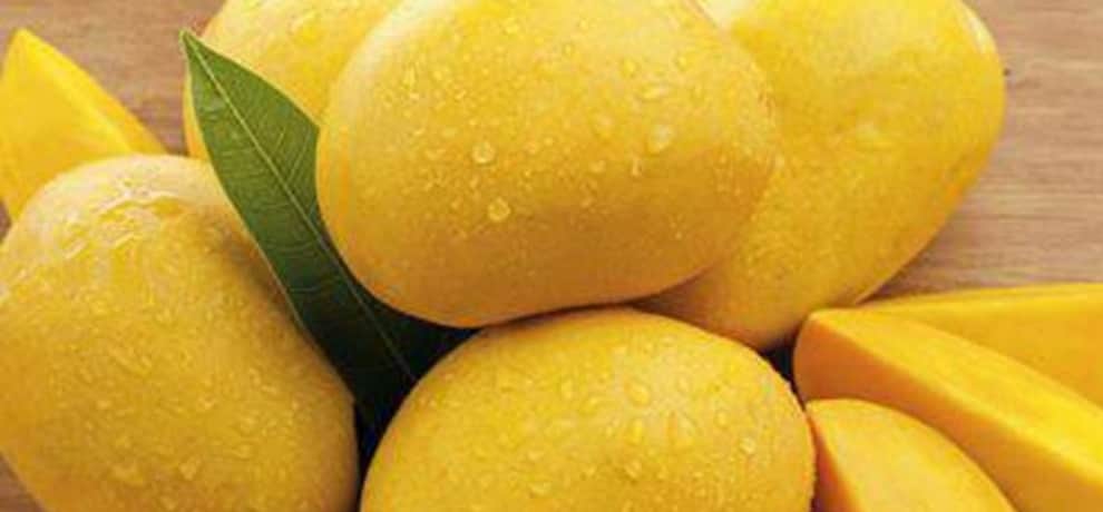 do you know about these  mango varieties and flavor