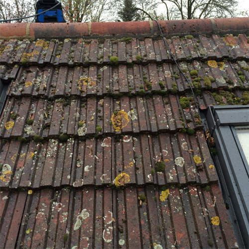 Do not do this mistake after feeding the birds