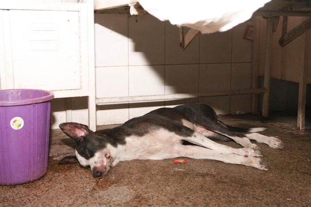 The patient's drip pipe was rotten, the condition worsened