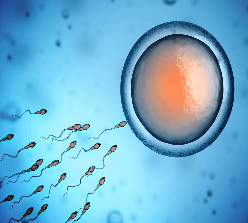COVID-19 Could impact on intelligence and male fertility, study claims